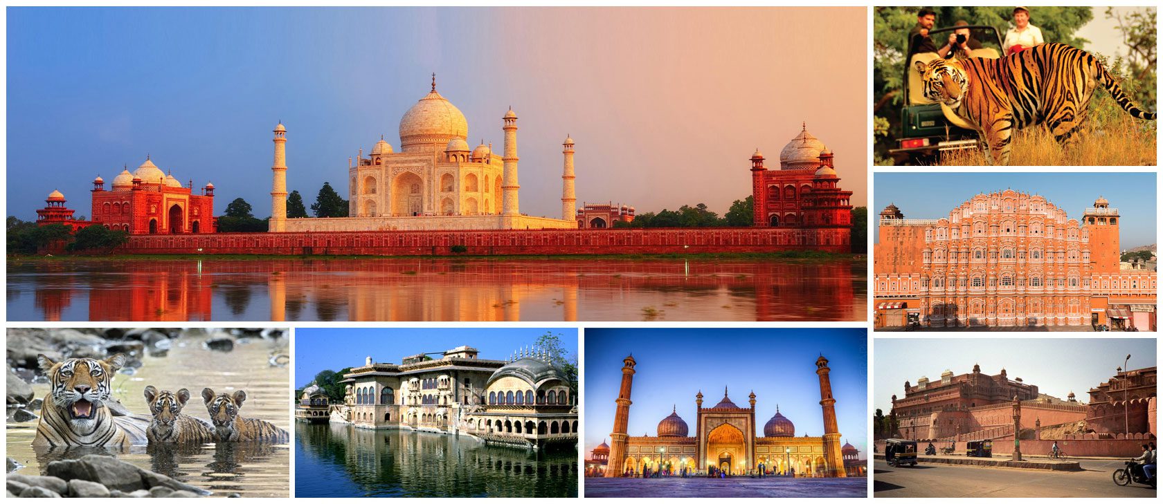 wildlife-tour-header